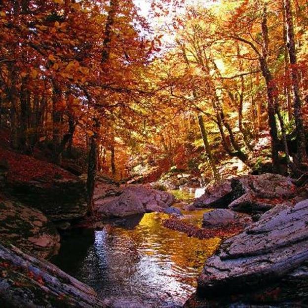 Kaz Dağları'nda sonbahar - 10