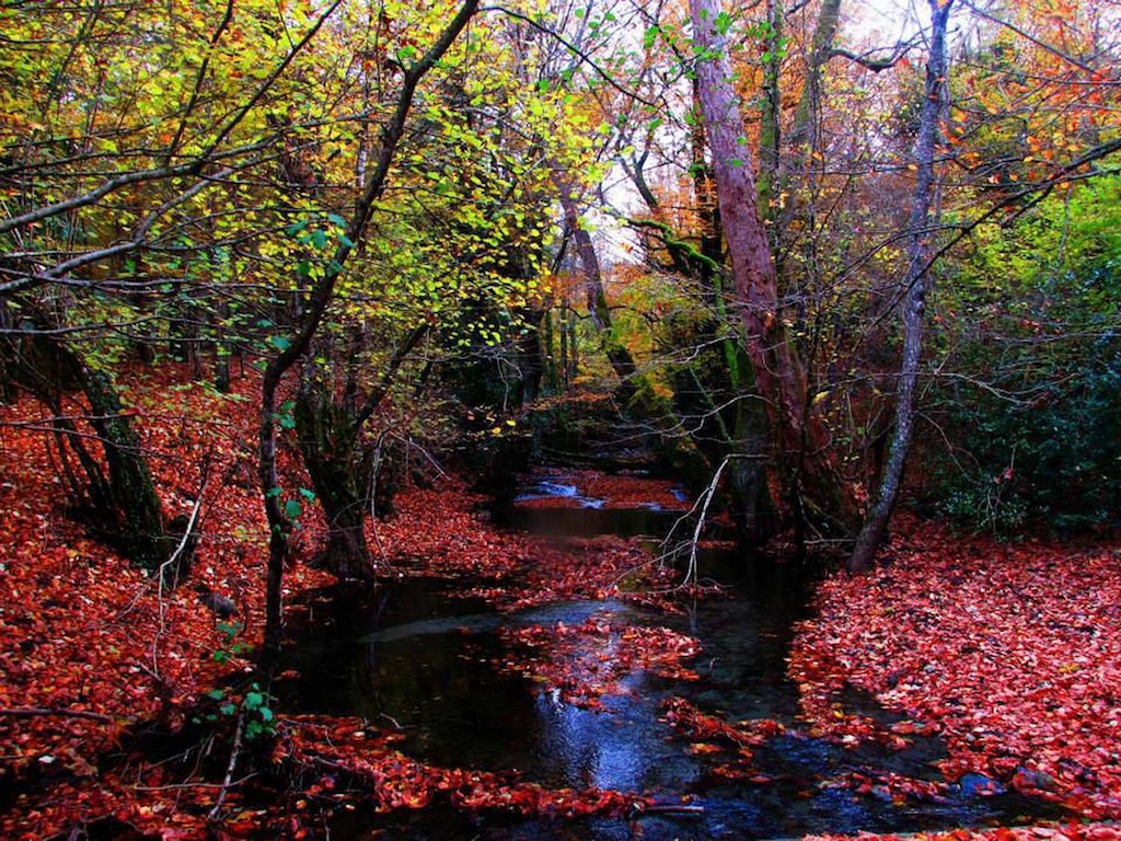 Kaz Dağları'nda sonbahar - 7