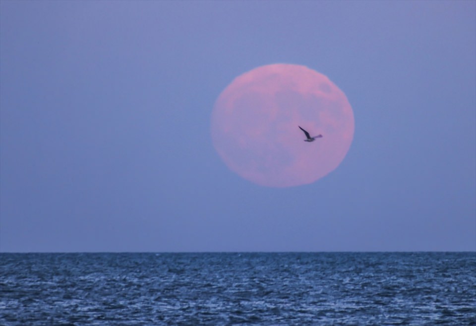 'Süper ay'dan muhteşem kareler - 4