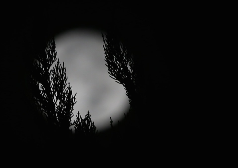 'Süper ay'dan muhteşem kareler - 17