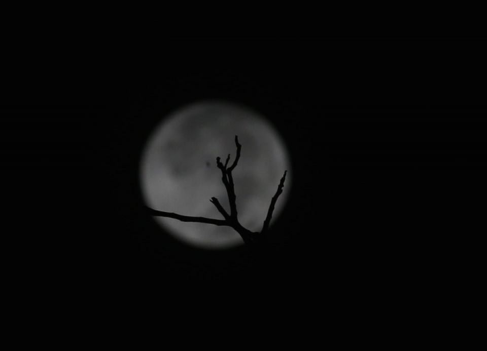 'Süper ay'dan muhteşem kareler - 18