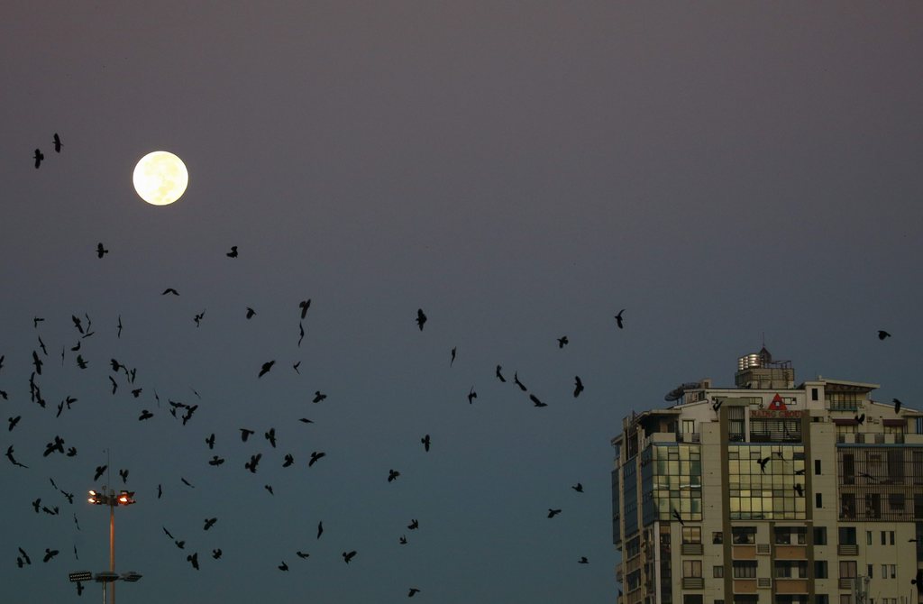 'Süper ay'dan muhteşem kareler - 560