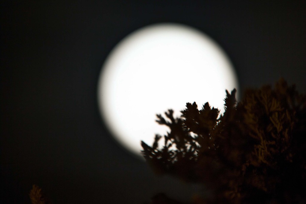 'Süper ay'dan muhteşem kareler - 645