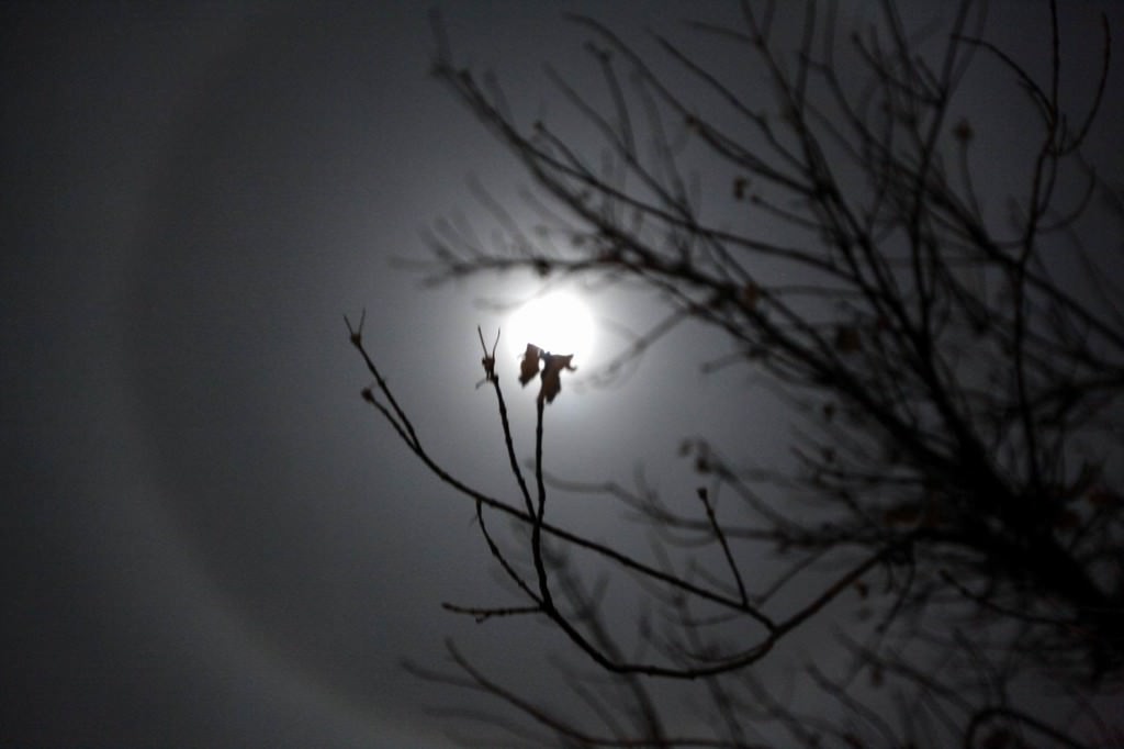 'Süper ay'dan muhteşem kareler - 898