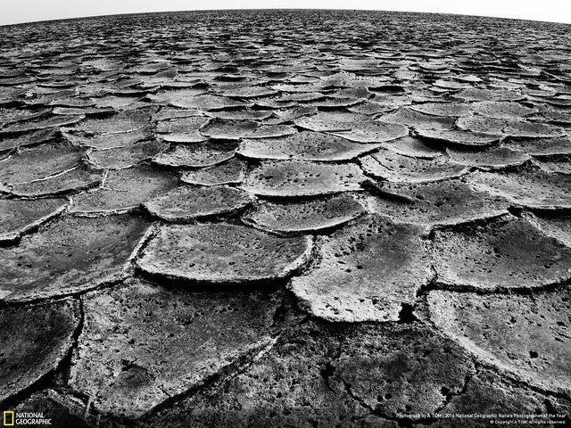 En iyi doğa fotoğrafları - 854