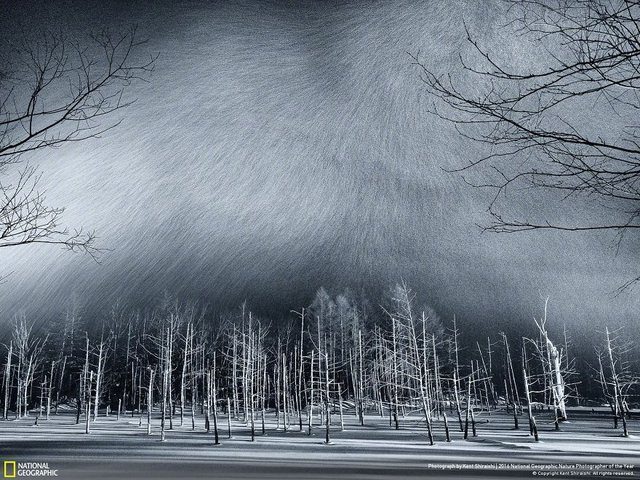 En iyi doğa fotoğrafları - 561