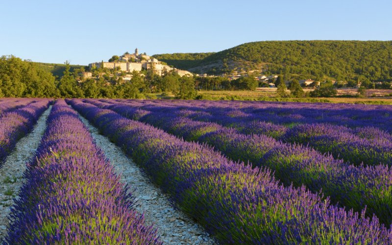 Avrupa'nın gözbebeği: Provence - 5
