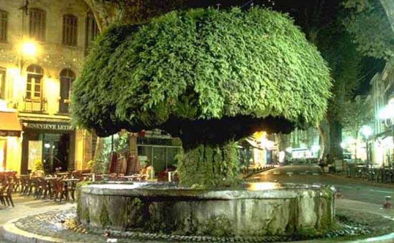 Avrupa'nın gözbebeği: Provence - 14