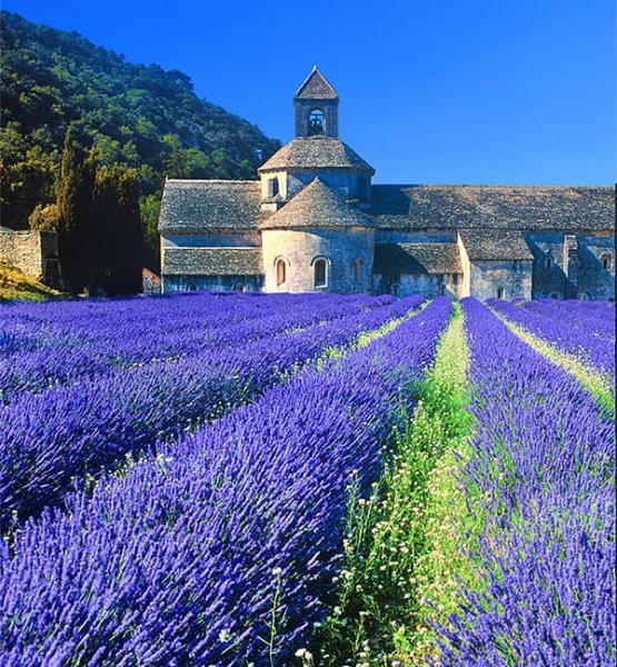 Avrupa'nın gözbebeği: Provence - 13