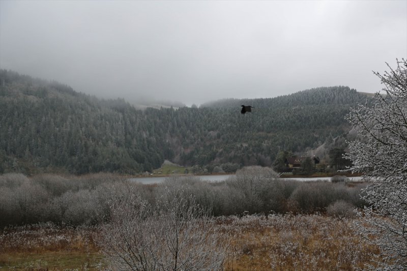 Abant Tabiat Parkı karla buluştu - 19