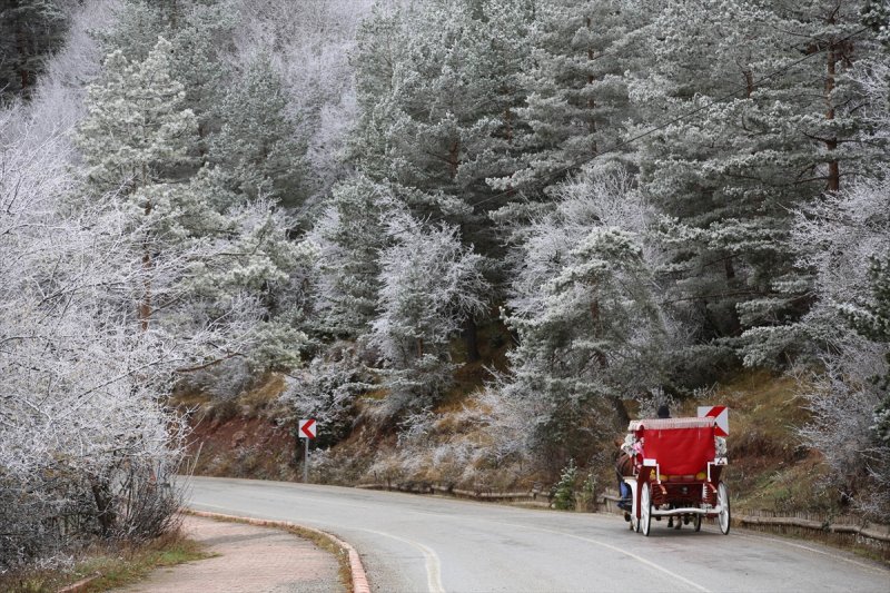 Abant Tabiat Parkı karla buluştu - 4