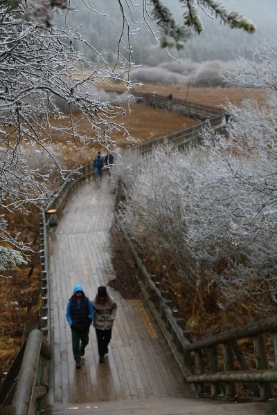 Abant Tabiat Parkı karla buluştu - 12