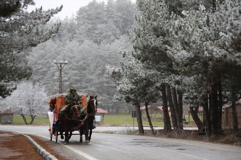 Abant Tabiat Parkı karla buluştu - 5