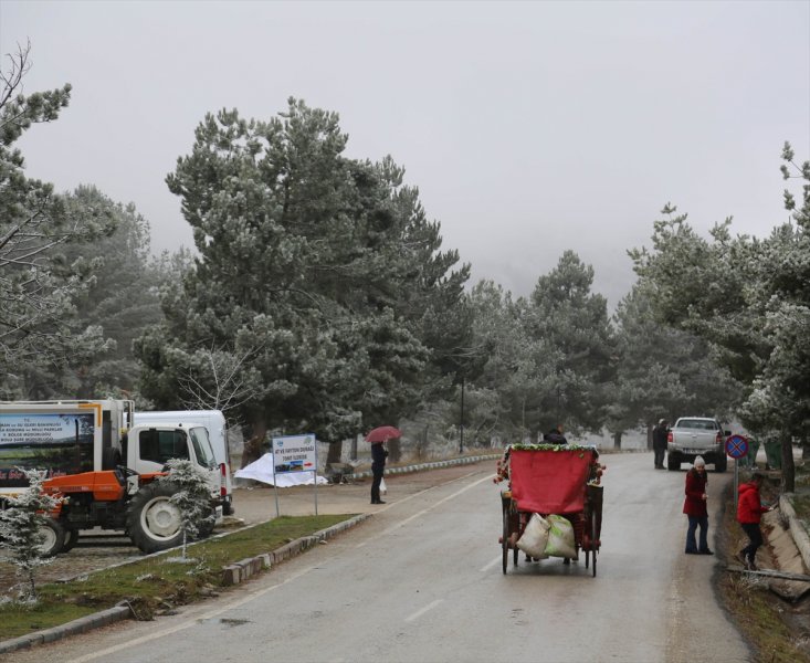 Abant Tabiat Parkı karla buluştu - 11