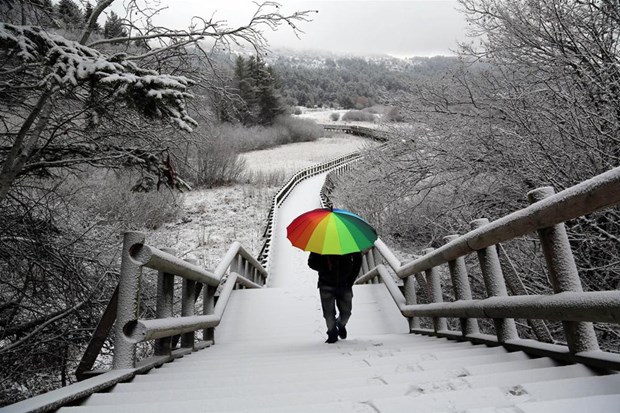 Abant Tabiat Parkı karla buluştu - 3