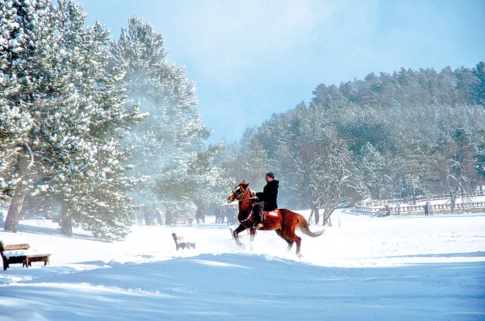 Abant Tabiat Parkı karla buluştu - 15