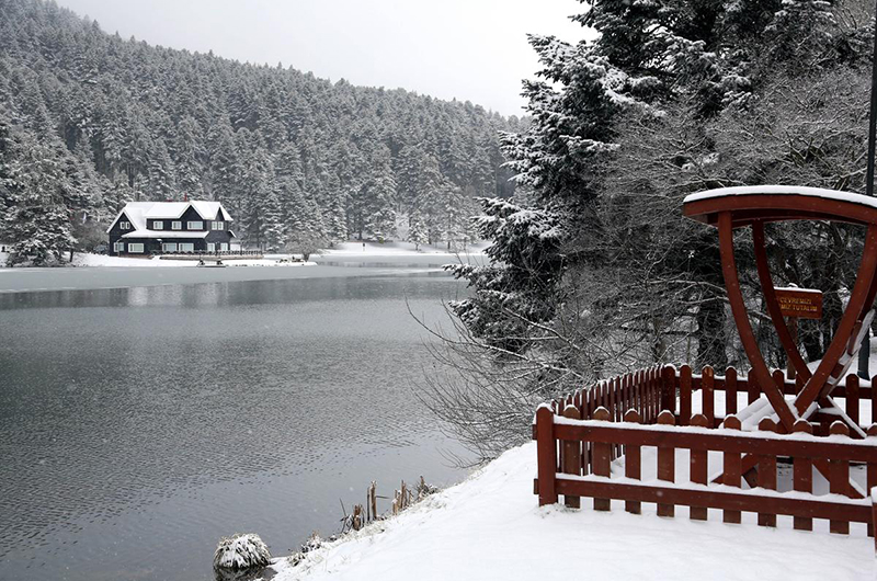 Abant Tabiat Parkı karla buluştu - 16