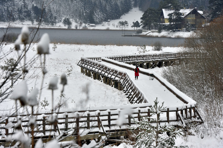 Abant Tabiat Parkı karla buluştu - 589