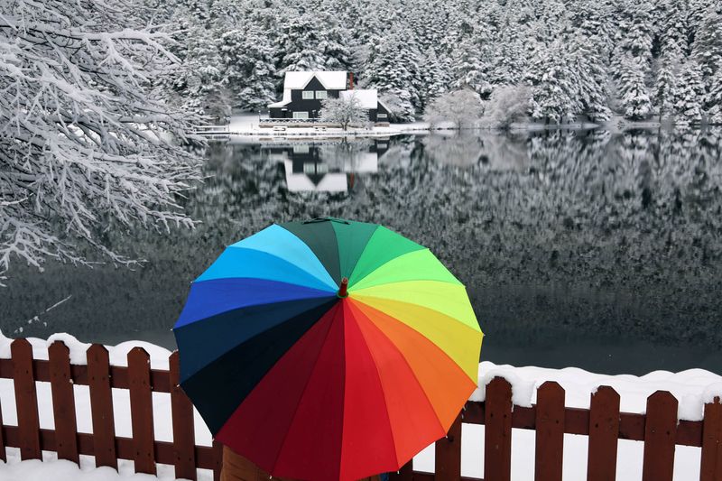 Abant Tabiat Parkı karla buluştu - 535