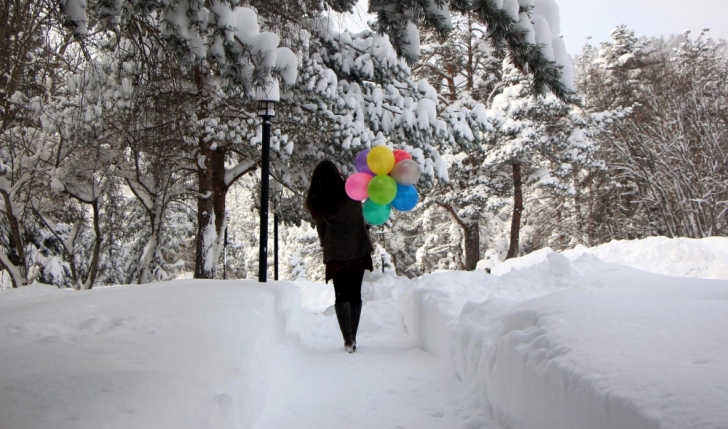 Abant Tabiat Parkı karla buluştu - 508