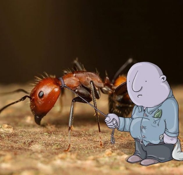 Instagram fotoğraflarına bir de böyle bakın - 36