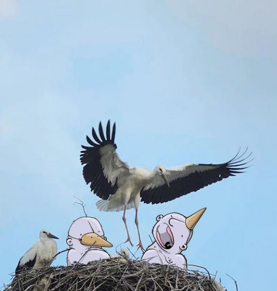 Instagram fotoğraflarına bir de böyle bakın - 5