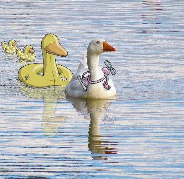 Instagram fotoğraflarına bir de böyle bakın - 2