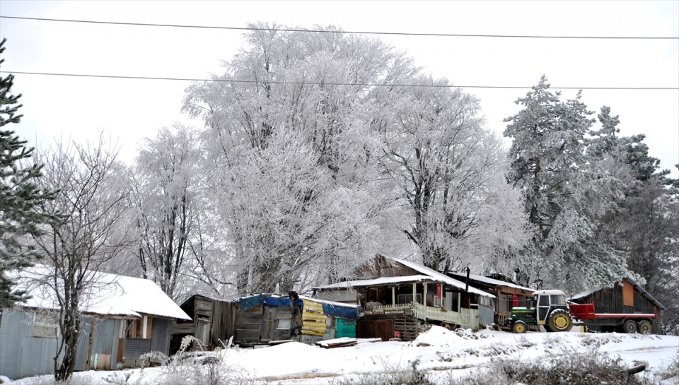 Türkiye'den kar manzaraları - 718