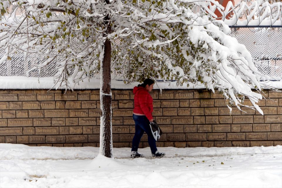 Türkiye'den kar manzaraları - 567