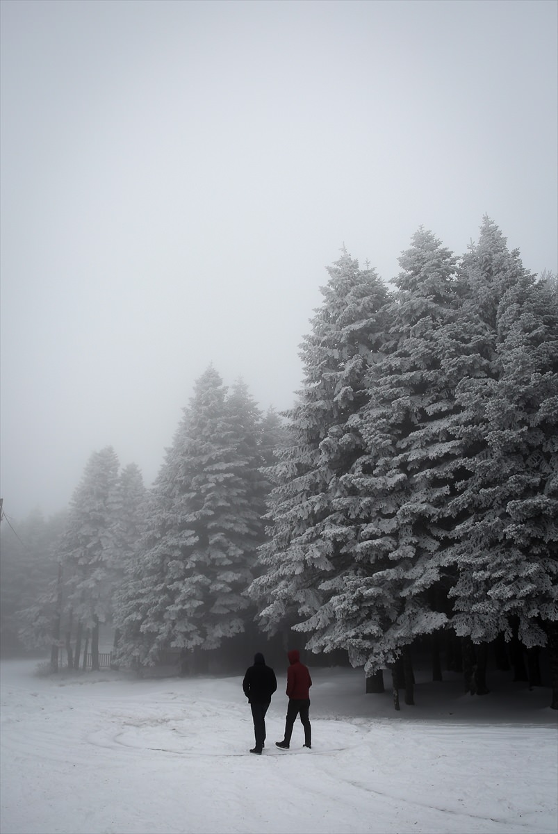 Türkiye'den kar manzaraları - 691