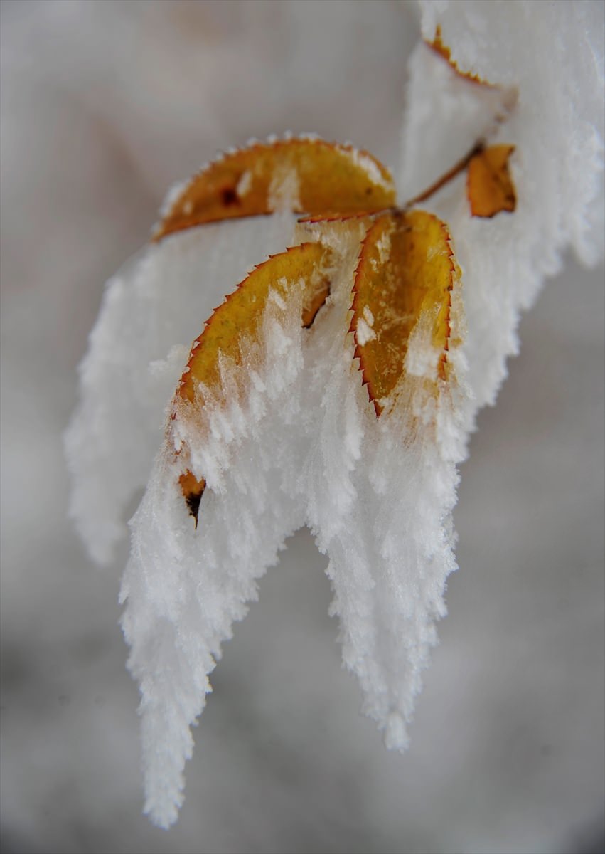 Türkiye'den kar manzaraları - 710