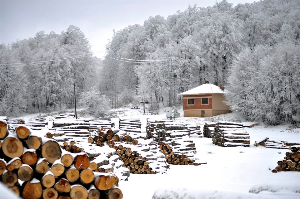 Türkiye'den kar manzaraları - 928