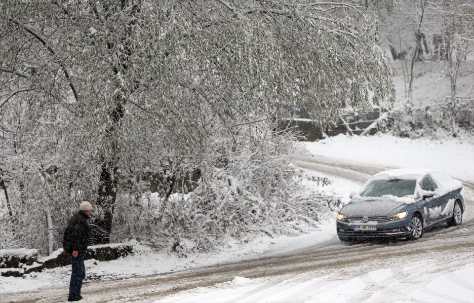 Türkiye'den kar manzaraları - 701