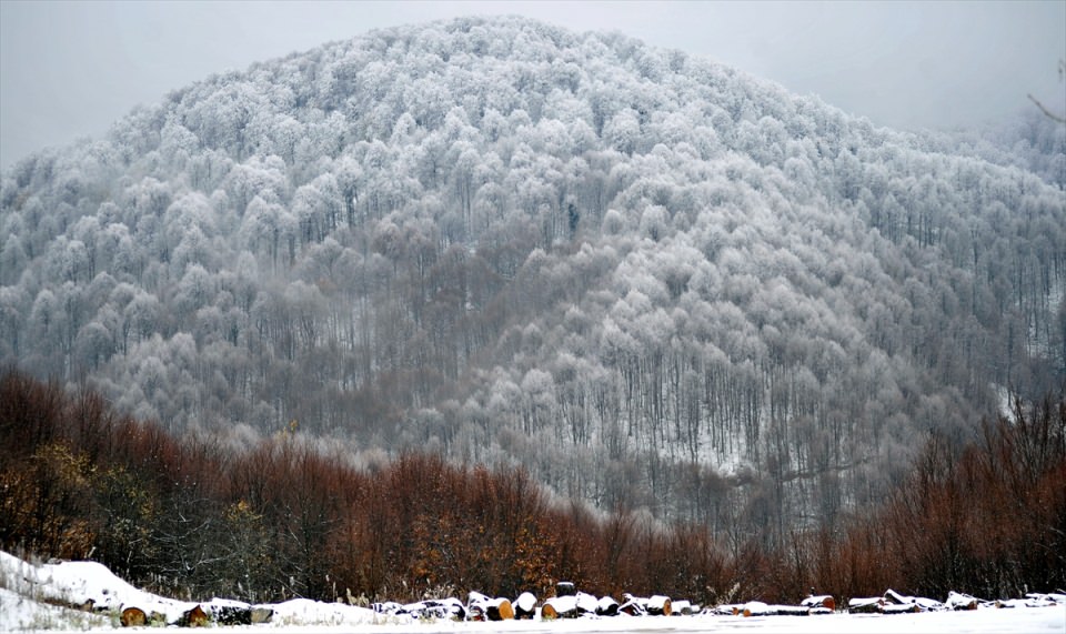 Türkiye'den kar manzaraları - 738
