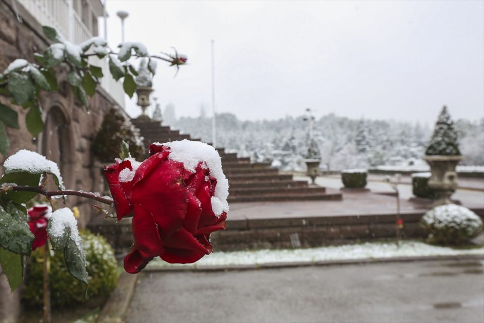 Türkiye'den kar manzaraları - 821