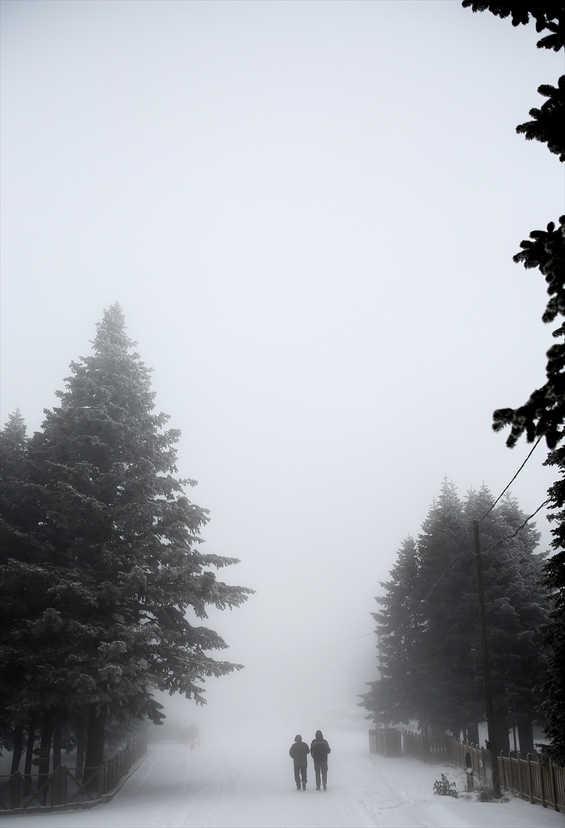 Türkiye'den kar manzaraları - 575