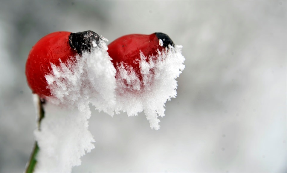 Türkiye'den kar manzaraları - 909