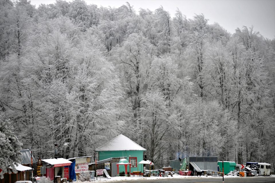 Türkiye'den kar manzaraları - 820
