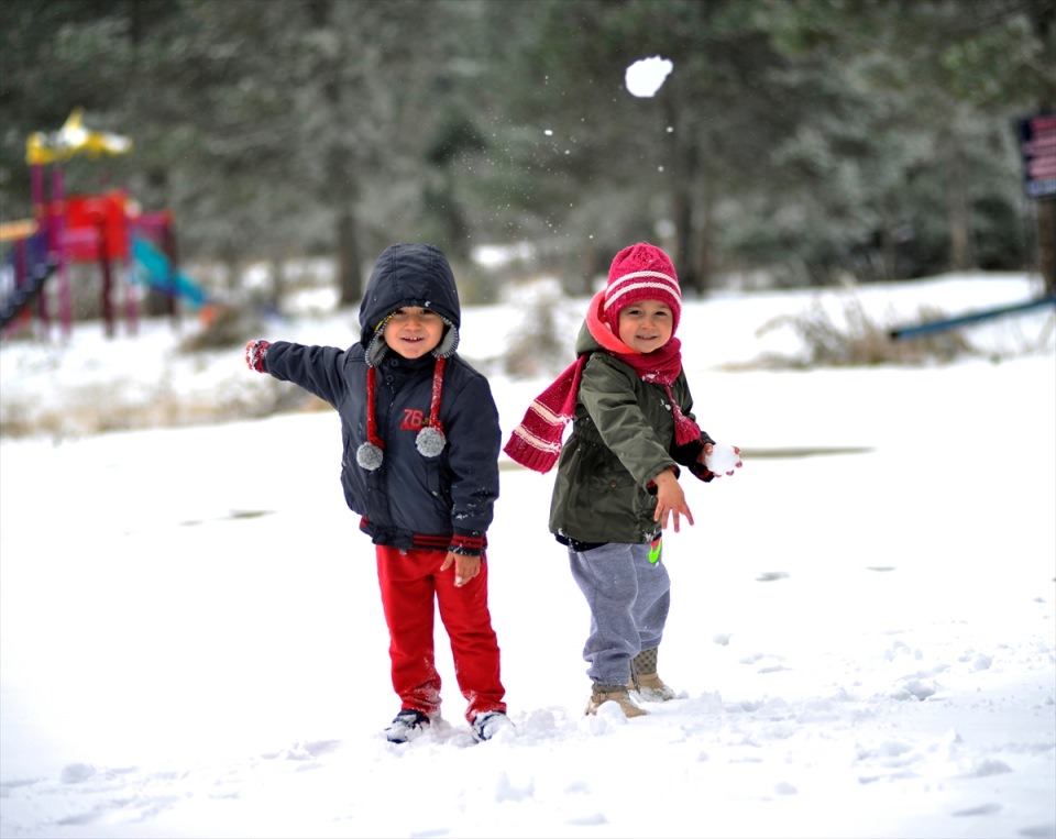 Türkiye'den kar manzaraları - 828