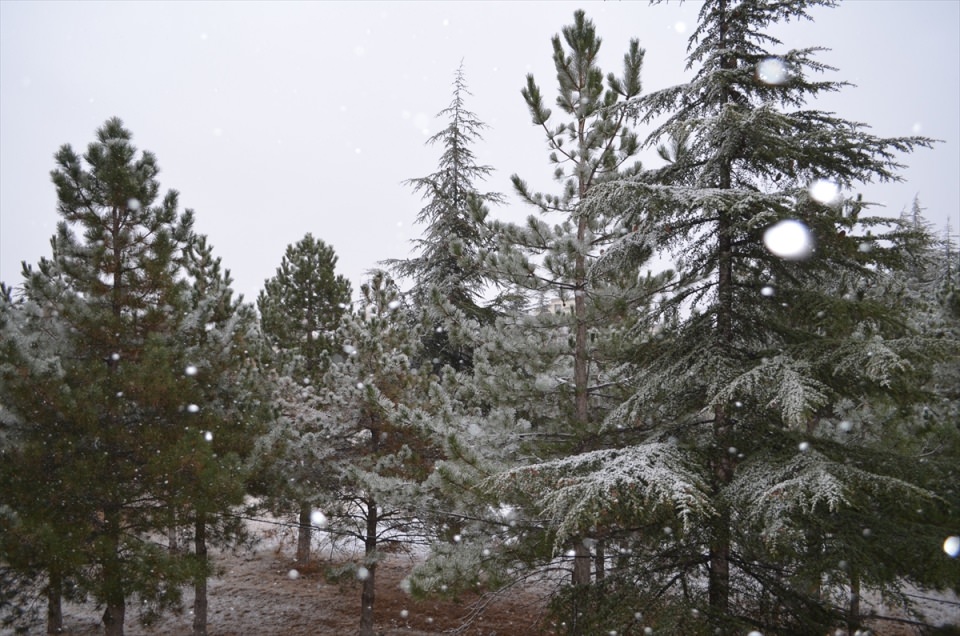 Türkiye'den kar manzaraları - 615