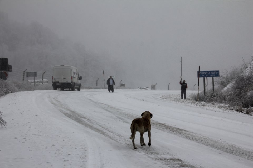 Türkiye'den kar manzaraları - 737