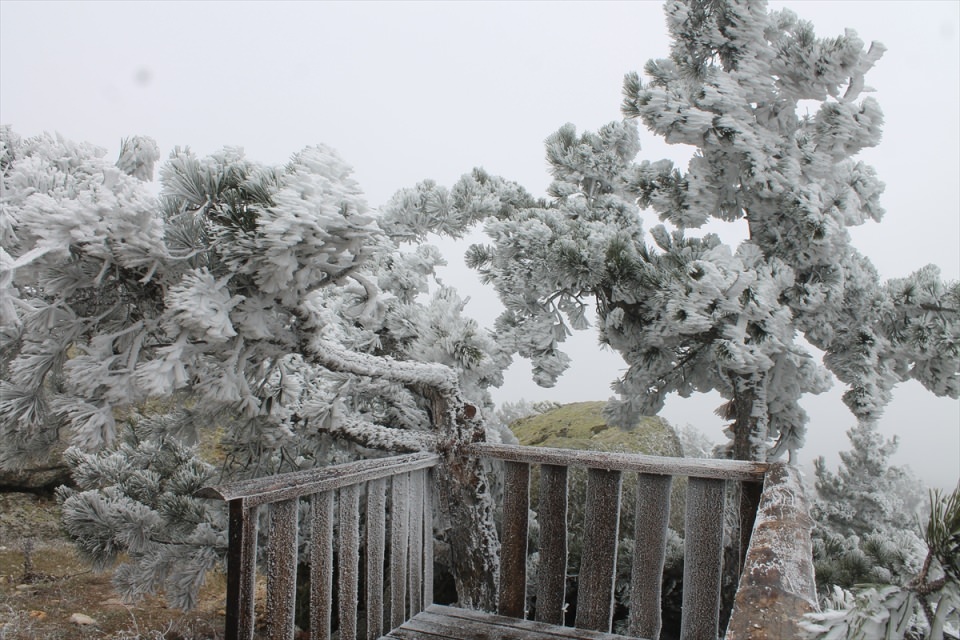 Türkiye'den kar manzaraları - 613