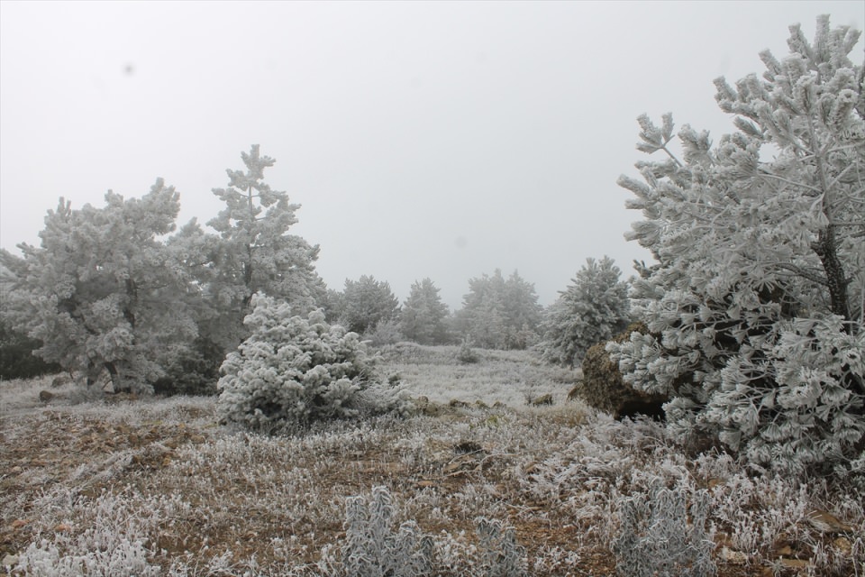 Türkiye'den kar manzaraları - 702