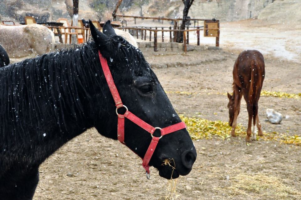Türkiye'den kar manzaraları - 846