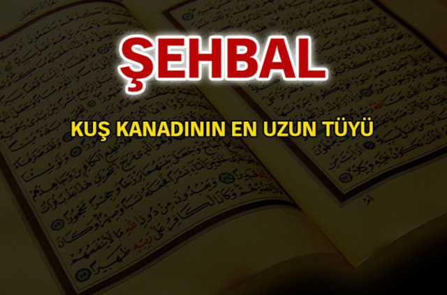 Kuran-ı Kerim'de geçen isimler ve anlamları - 707