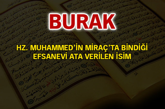 Kuran-ı Kerim'de geçen isimler ve anlamları - 891