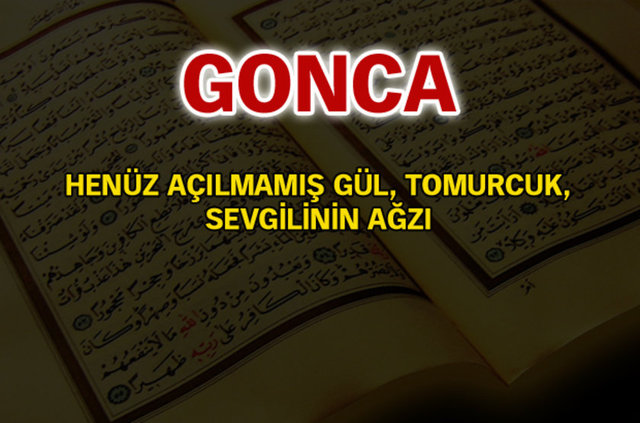 Kuran-ı Kerim'de geçen isimler ve anlamları - 613