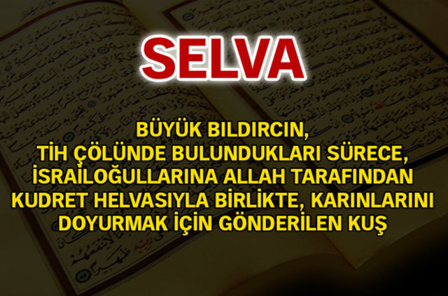 Kuran-ı Kerim'de geçen isimler ve anlamları - 816