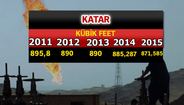 Doğalgaz zengini ülkeler - 555