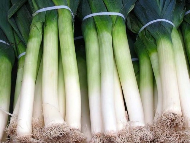 Kilo verdiren sağlıklı sebzeler - 7